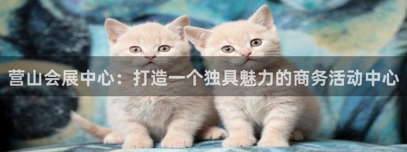 果博注册会员多少钱