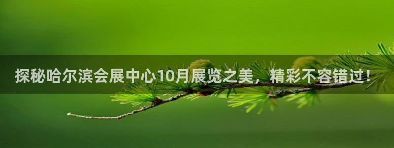 果博平台赖不赖