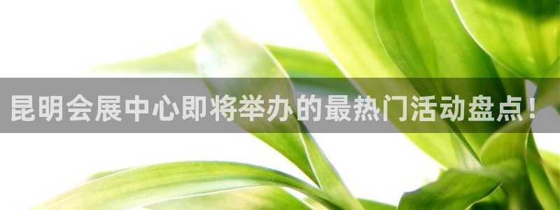 果博公司客服怎么样