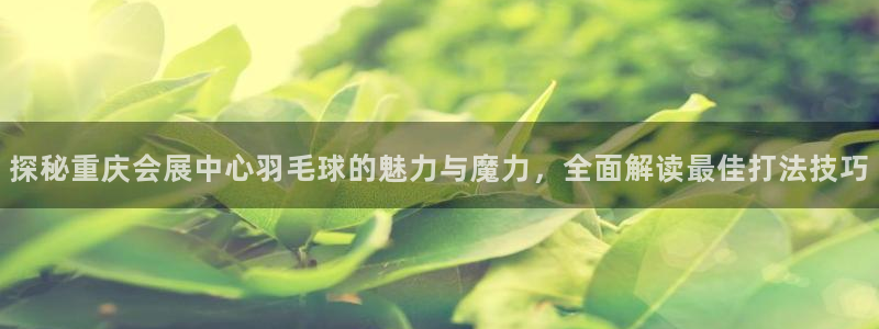 果博公司开户
