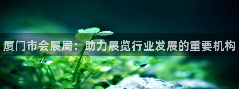 果博公司游戏网址：厦门市会展局：助力展览