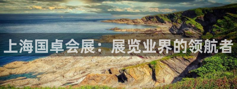 果博园简介：上海国卓会展：展览业界的领航