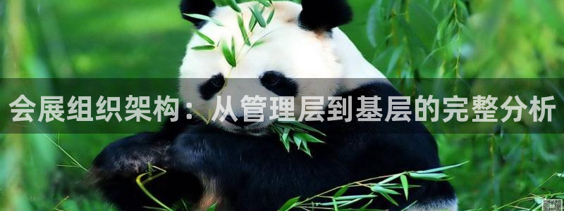 下载果博app：会展组织架构：从管理层到基层的完整分析