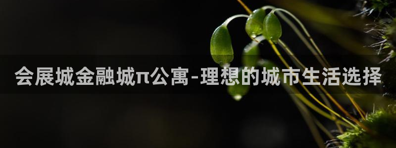 苹果电脑可以下载博易大师吗