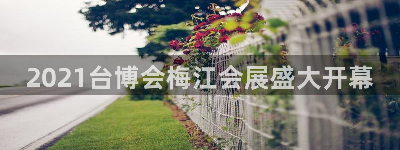 果博注册会员维wckk389：2021台博会梅江会展盛大开幕