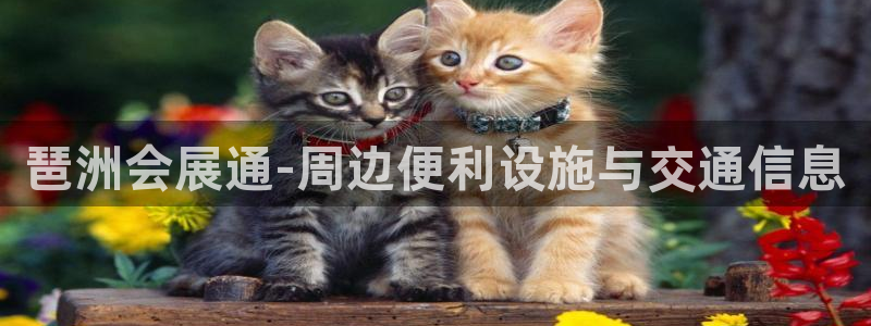果博网站二维码