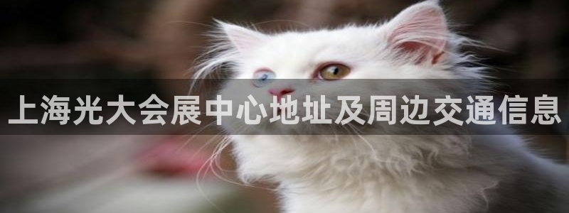 果博公司网站