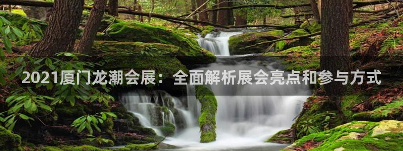 果博代理电话多少号码