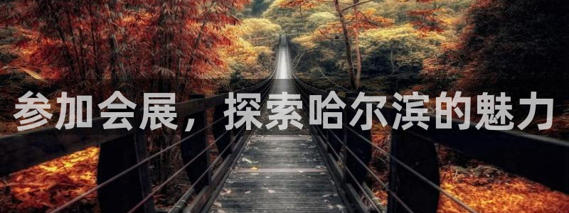 果博集团