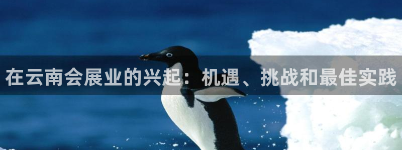 果博手机版下载