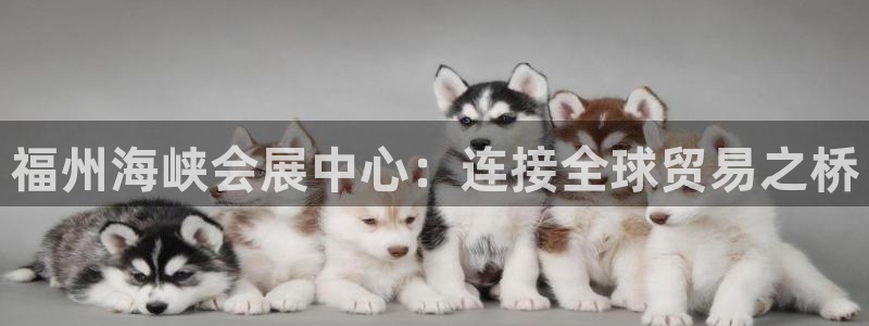 果博平台真实吗安全吗是真的吗