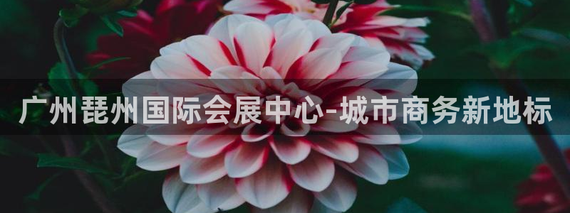 果博代理网