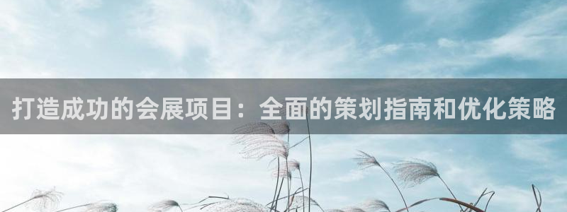 果博app官网下载：打造成功的会展项目：全面的策划指南和优化策略