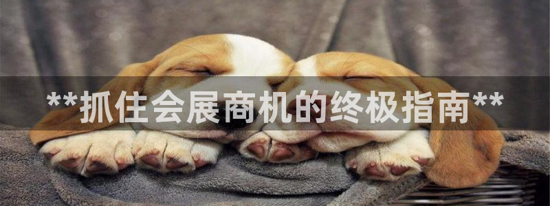 果博公司联系方式