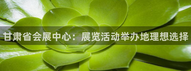 果博平台真实吗安全吗是真的吗