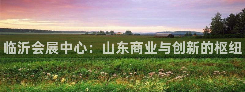 果博公司：临沂会展中心：山东商业与创新的