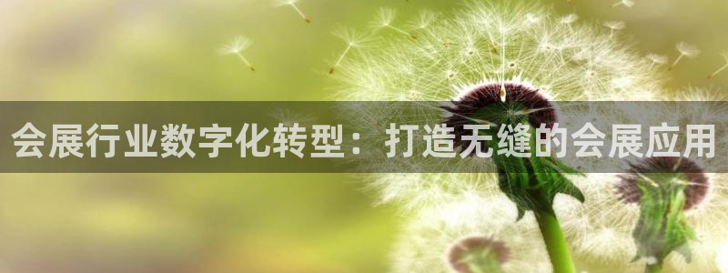 果博注册充值：会展行业数字化转型：打造无缝的会展应用