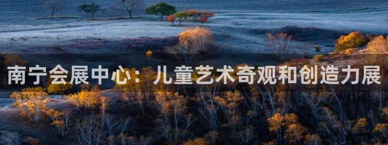 果博平台真实吗安全吗是真的吗：南宁会展中心：儿童艺术奇观和创造力展