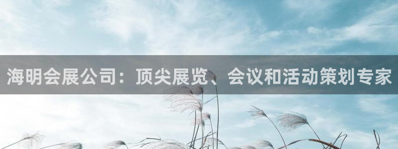 果博公司客服微信怎么加：海明会展公司：顶尖展览、会议和活动策划专家