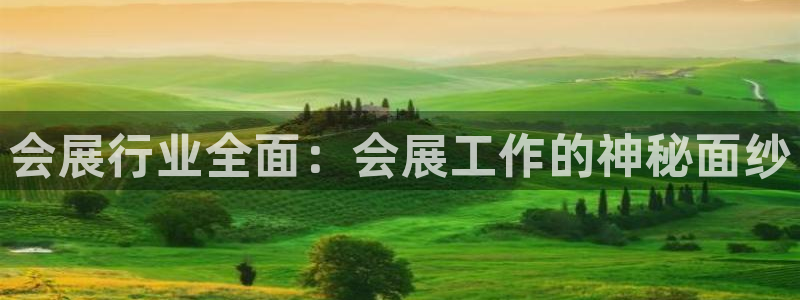 果博东官方网站怎么下载：会展行业全面：会展工作的神秘面纱