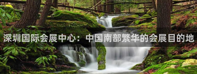 果博注册客服电话号码是多少：深圳国际会展