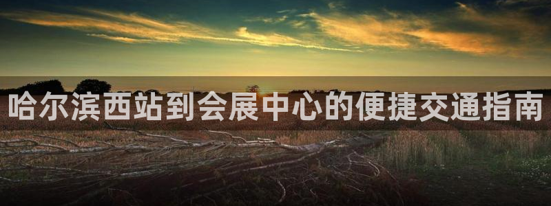 果博公司会员注册账号：哈尔滨西站到会展中心的便捷交通指南