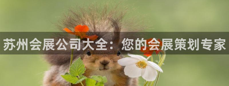 果博平台真实吗安全吗可信吗可靠吗：苏州会