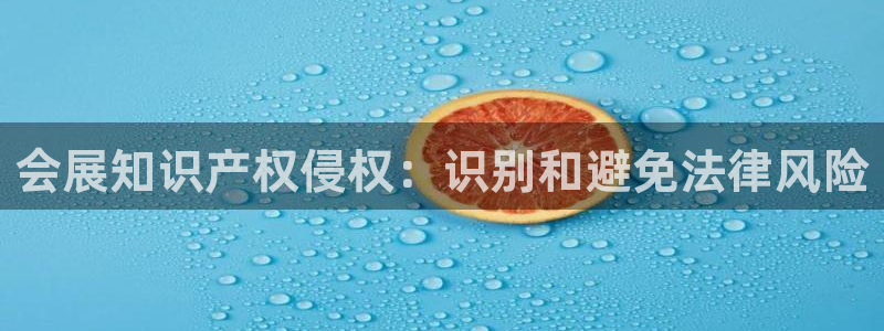 果博手机版下载：会展知识产权侵权：识别和避免法律风险