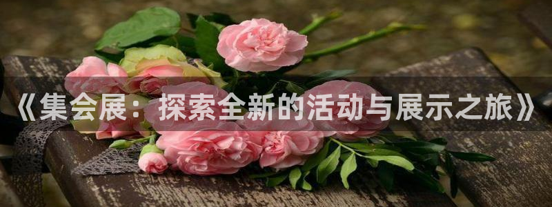 果博平台真实吗安全吗可信吗：《集会展：探