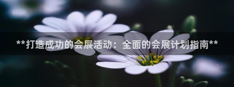 果博注册充值多少钱：**打造成功的会展活动：全面的会展计划指南**