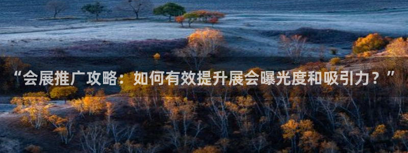 果博平台客服电话：“会展推广攻略：如何有效提升展会曝光度和吸引力？”