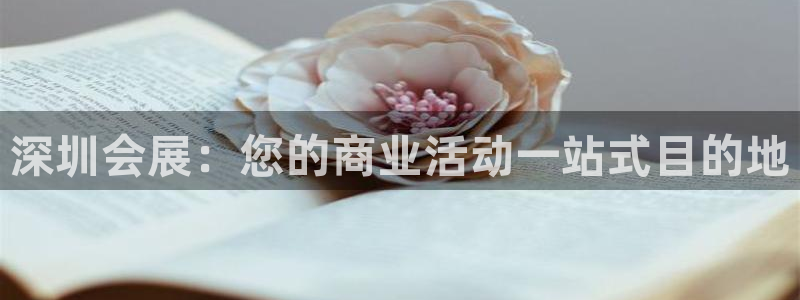 果博官网在银博：深圳会展：您的商业活动一站式目的地