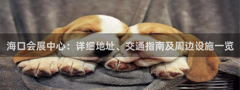 果博平台真实吗安全吗可信吗可靠吗：海口会展中心：详细地址、交通指南及周边设施一览