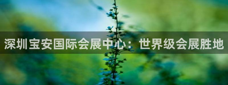 果博注册：深圳宝安国际会展中心：世界级会展胜地