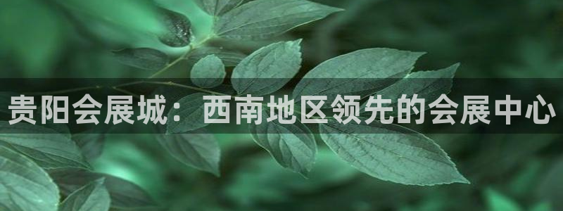 果博注册客服电话是多少：贵阳会展城：西南