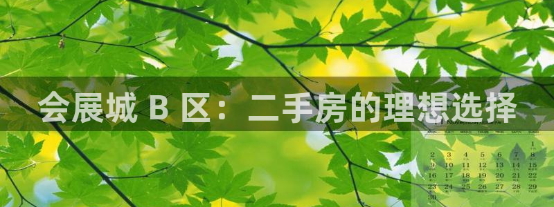 果博怎么注册账号和密码：会展城 B 区：
