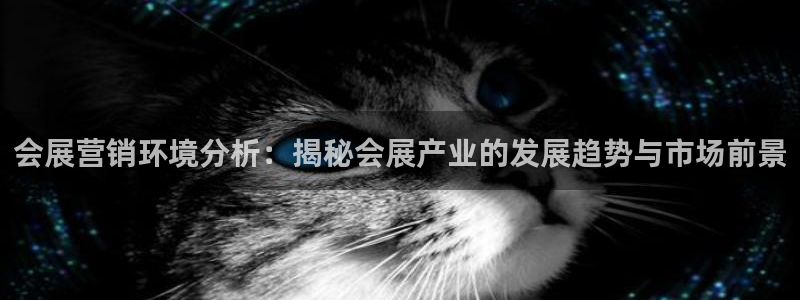 果博官方网：会展营销环境分析：揭秘会展产业的发展趋势与市场前景
