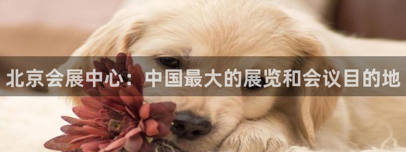 果博客服电话：北京会展中心：中国最大的展览和会议目