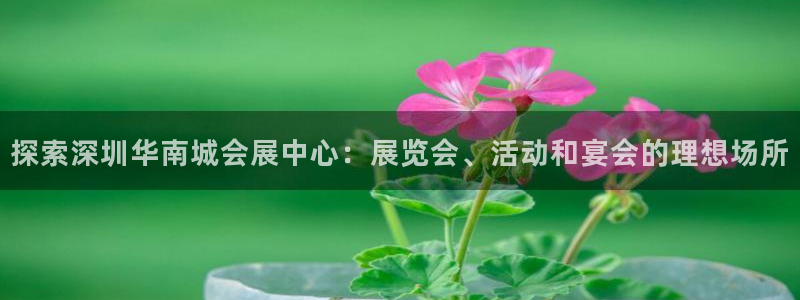果博公司会员开户：探索深圳华南城会展中心