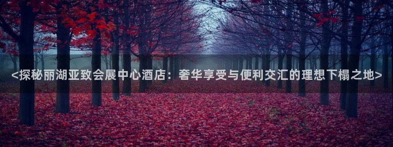 果博注册客服电话是多少：<探秘丽湖亚致会展中心酒店：奢华享受与便利交汇的理想下榻之地>