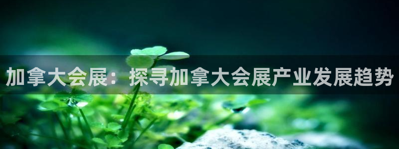 果博平台苹果电脑怎么下载：加拿大会展：探寻加拿大会展产业发展趋势