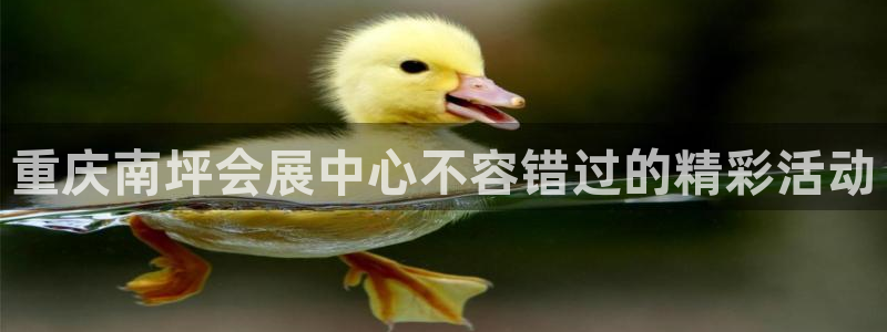 果博公司客服电话多少：重庆南坪会展中心不容错过的精彩活动