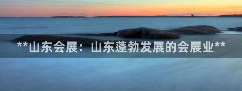 苹果手机能下载果博吗：**山东会展：山东蓬勃发展的会展业**