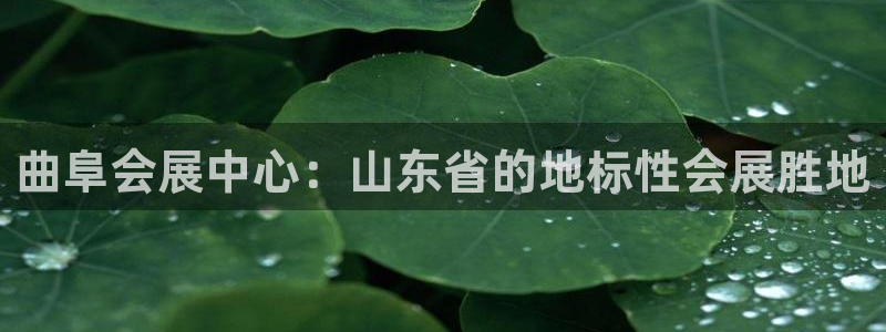 下载果博app：曲阜会展中心：山东省的地标性会展胜地