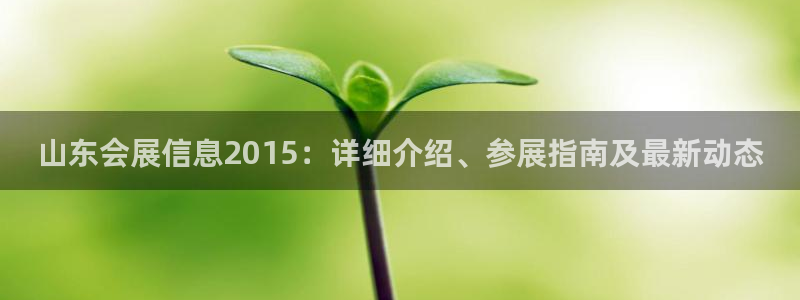 果博公司上分客服：山东会展信息2015：