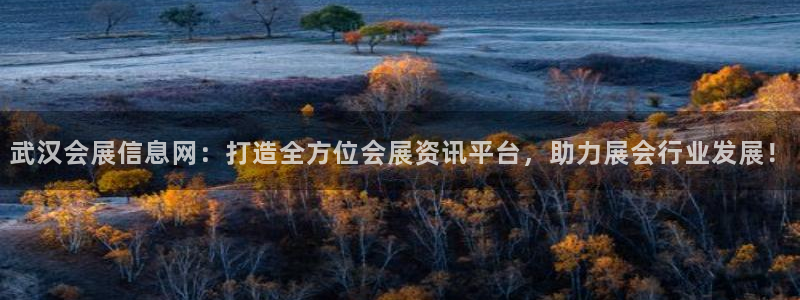 果博公司会员怎么开户：武汉会展信息网：打
