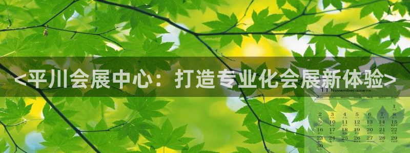 果博集团：<平川会展中心：打造专业化会展新体验>