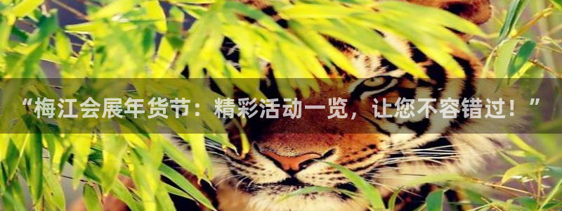 果博公司开户
