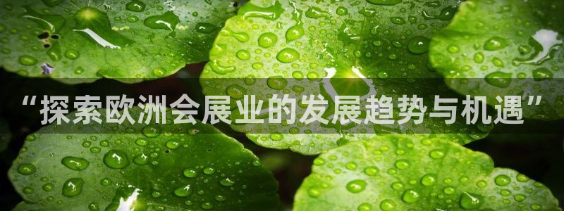 果博集团：“探索欧洲会展业的发展趋势与机