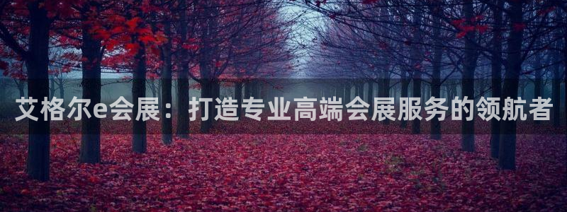果博公司客服联系方式：艾格尔e会展：打造